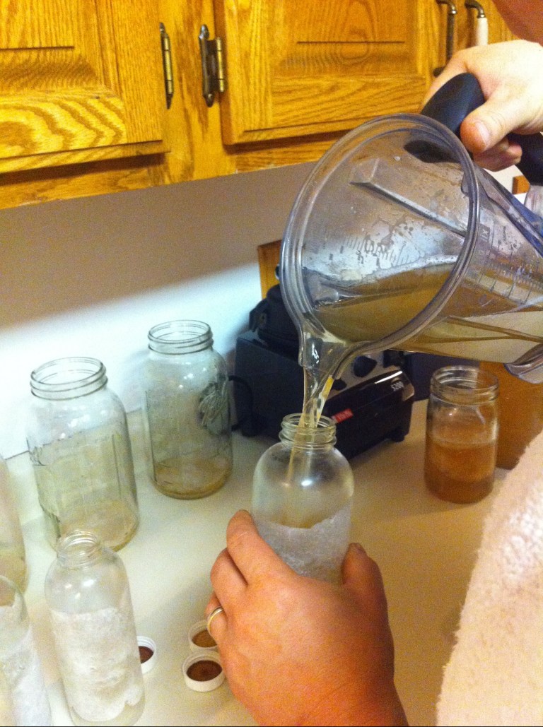 Our Homemade Kombucha Recipe | Completely Nourished